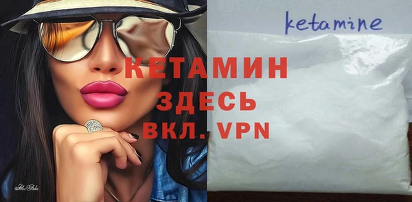 гидра Надым