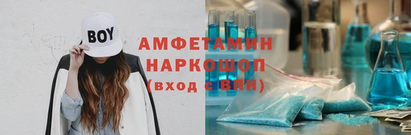 гидра Надым