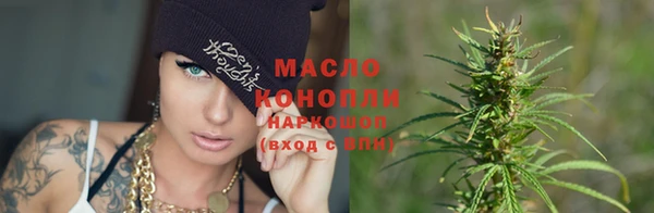 гидра Надым