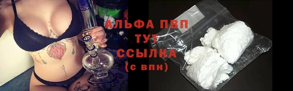 гидра Надым