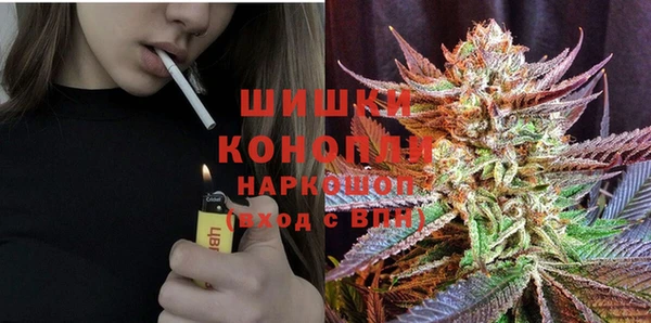 гидра Надым