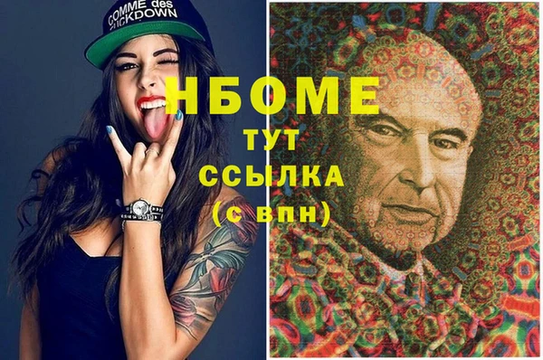 гидра Надым