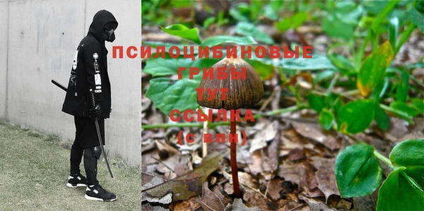 прущий лед Навашино