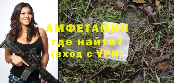 гидра Надым