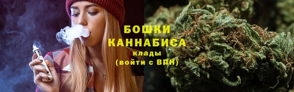гидра Надым