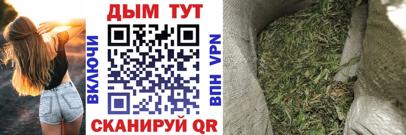 Шишки марихуана OG Kush  Купить где  Шали 